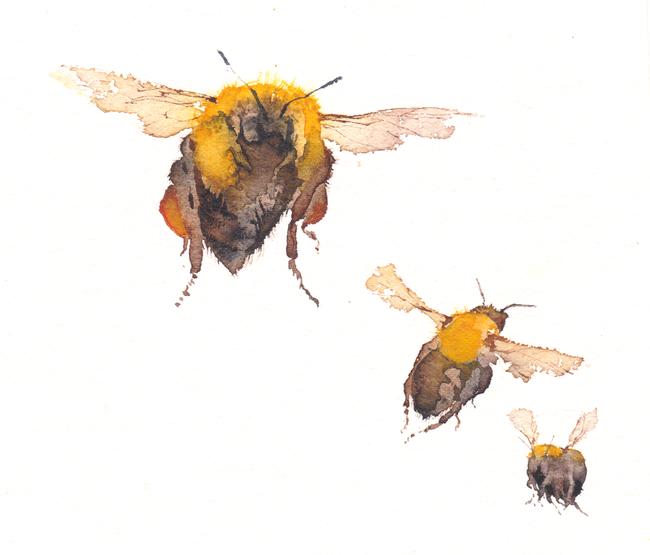Three Bumblebees