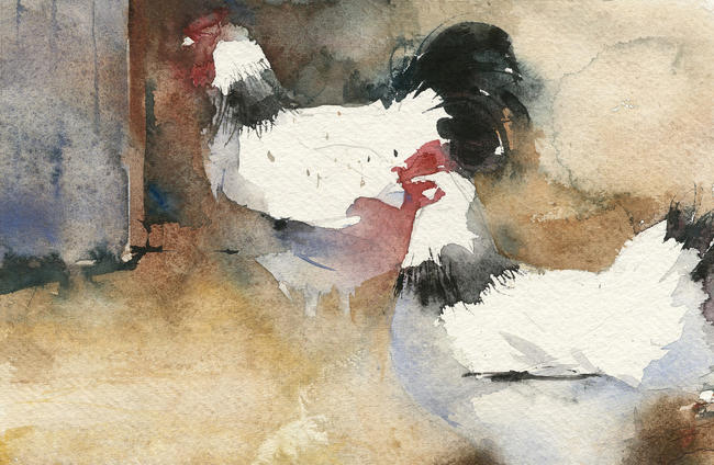 KO.77 sussex barnyard