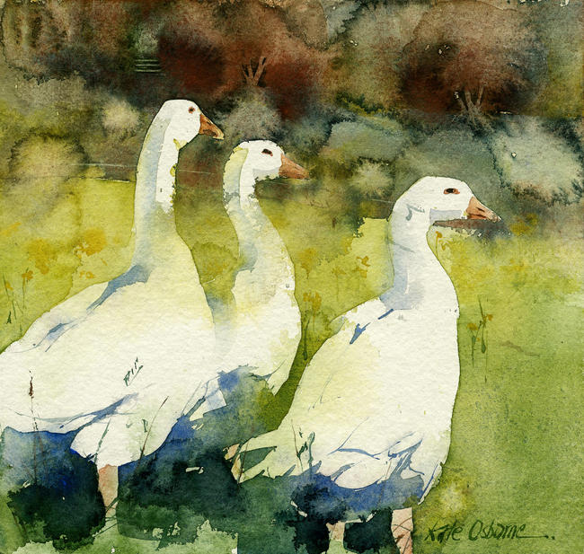 KO.46 three geese