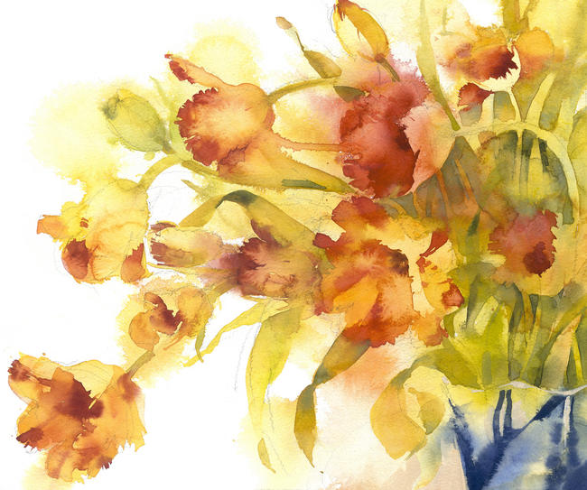 KO.98 french parrot tulips