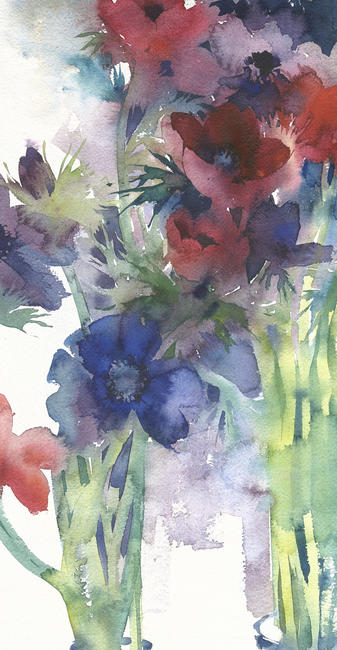 KO.99 gunns anemones