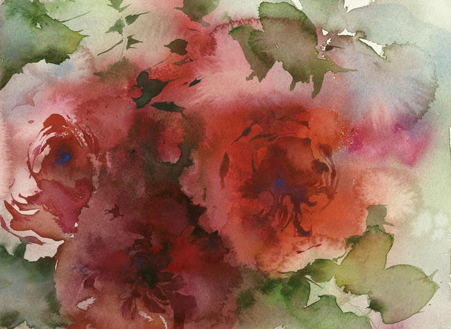 KO.89 sherbert roses