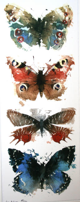 KO.41 butterflies moths 5
