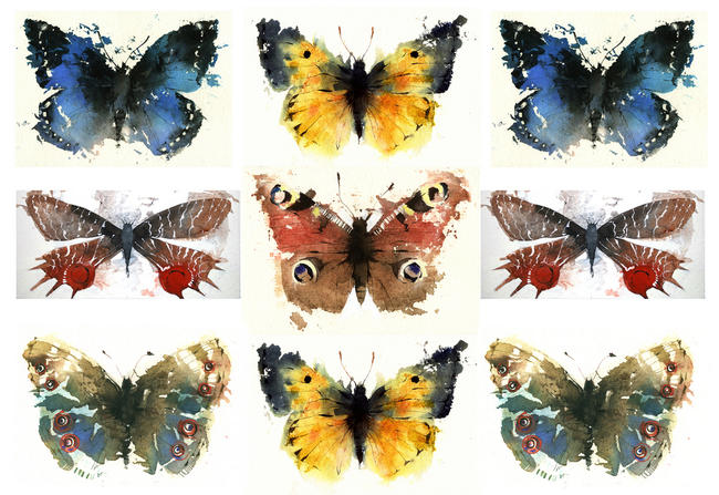 KO.43 butterfly case