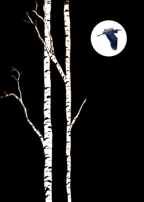 Heron Moon