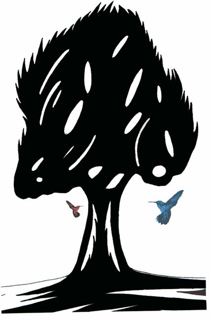 GUayasamin Tree