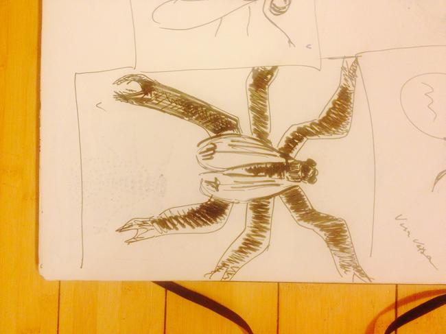 superfisious fly legs