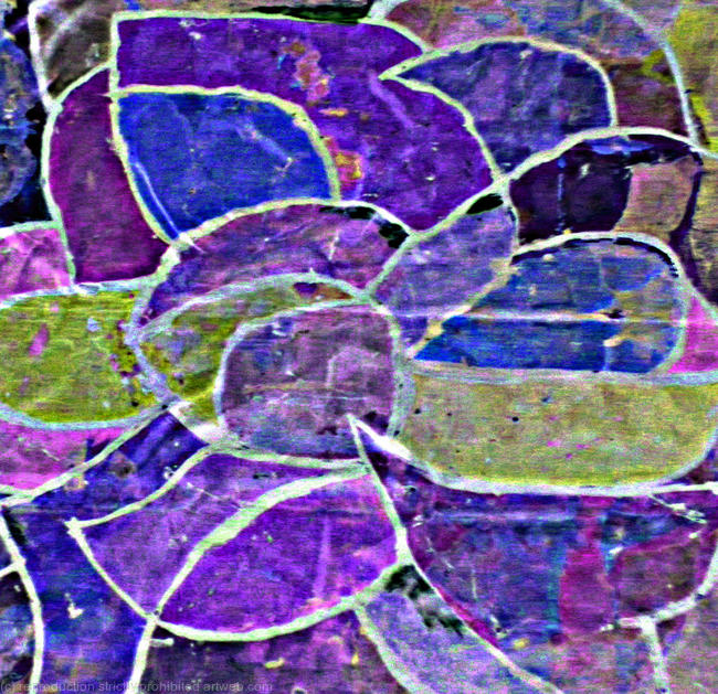 Iris white violet