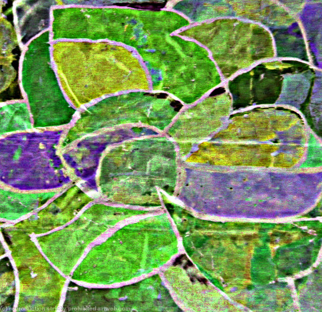 Iris 2.4