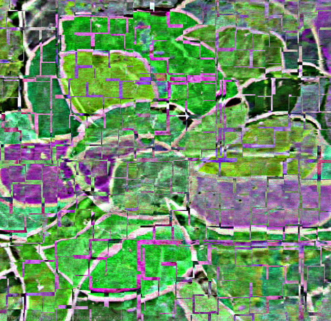 Iris partial invert prints Irish green