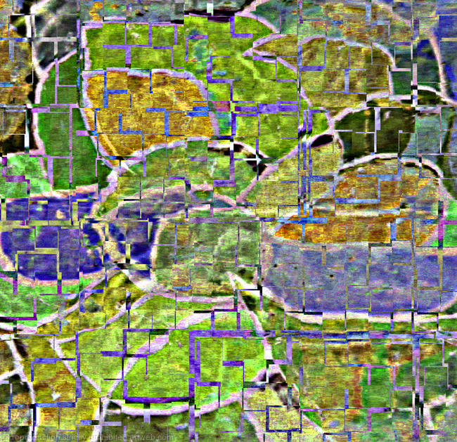 Iris partial invert print lemon lime