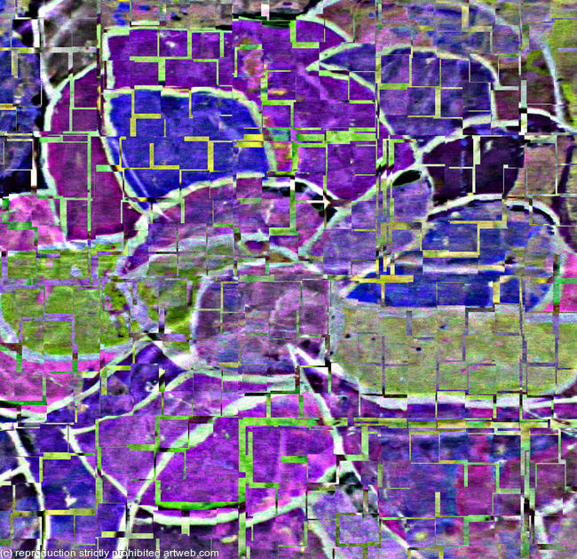 Iris partia invert prints violet