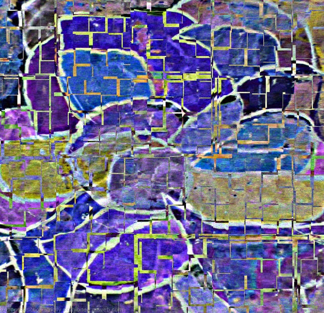 Iris partia invert prints French blue