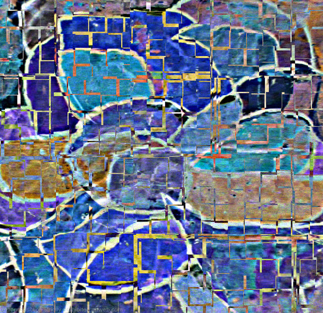 Iris partia invert prints Royal blue