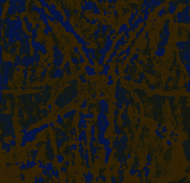 Dragonfly Two tone prints 23