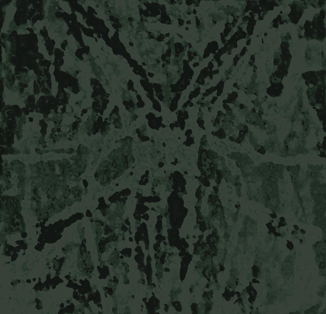 Dragonfly Two tone prints 25