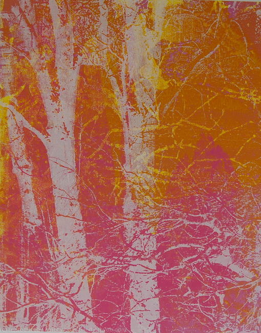 Magdalene Orange