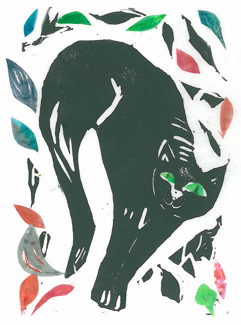 black cat