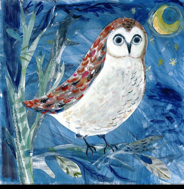 night time owl