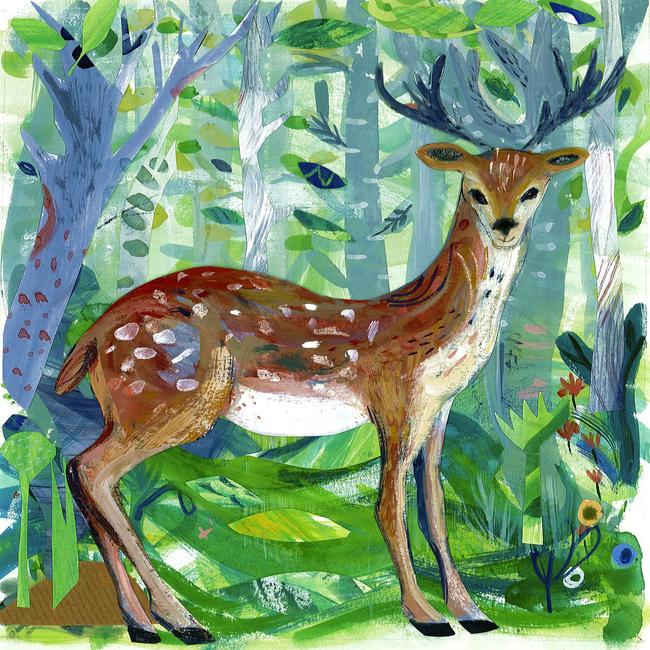 spring deer