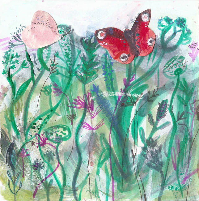 butterflies