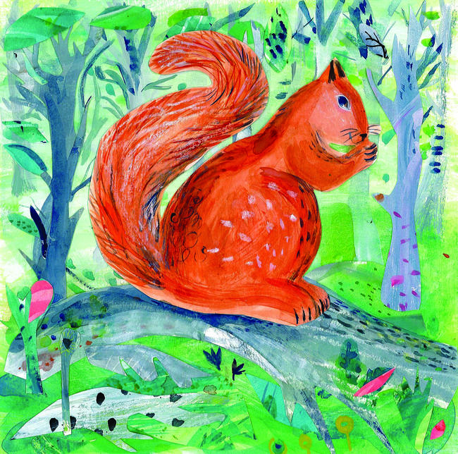 Squirrel