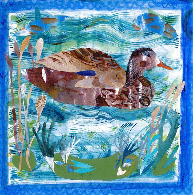 Duck