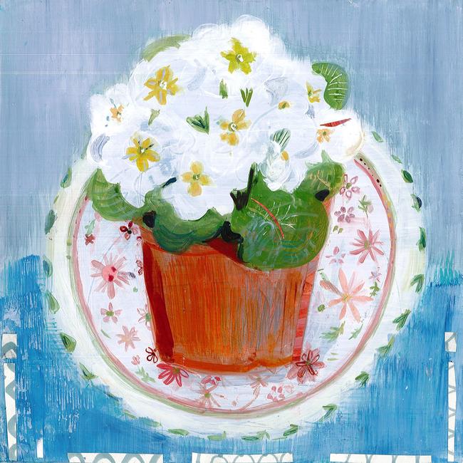 Primrose