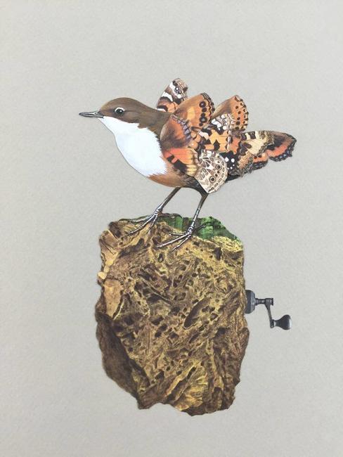 Practicing Being Myself, Ringed Plover