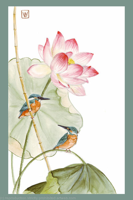 Lotus with kingfishers