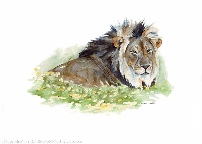 Lion of Venetia