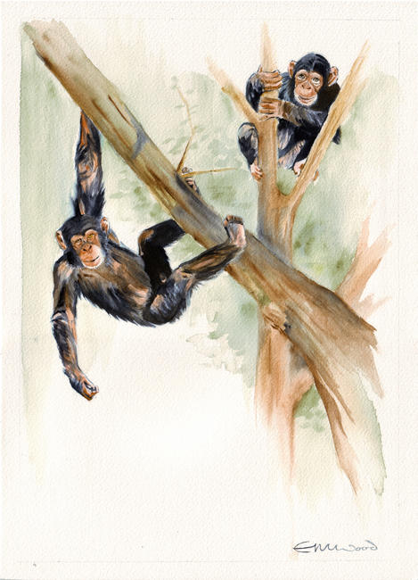 up in the trees