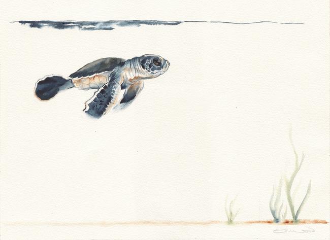 Flight