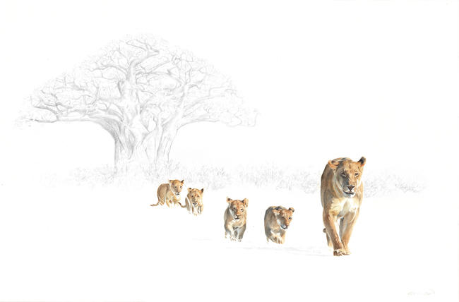 From the shade of the baobab