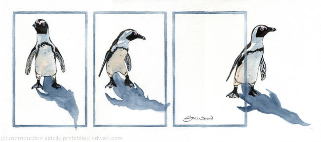 the jackass penguin (signed, limited edition print)