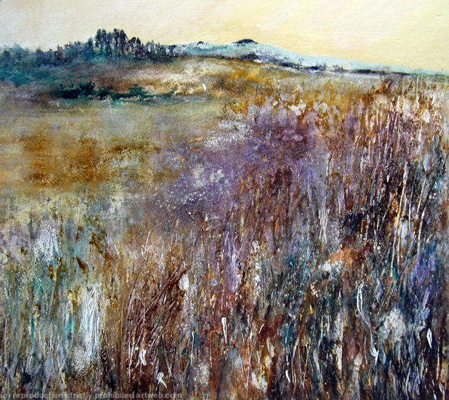 Through the Meadow
