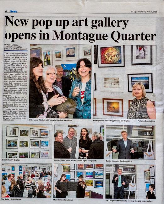 Evening Argus article