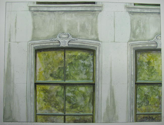 Reflection of Trees in Window