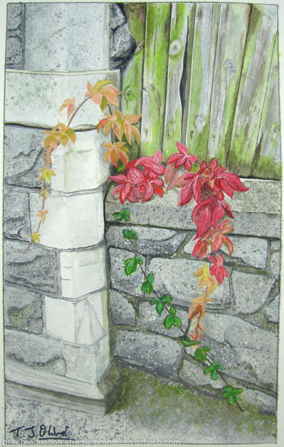 Autumn Creeper