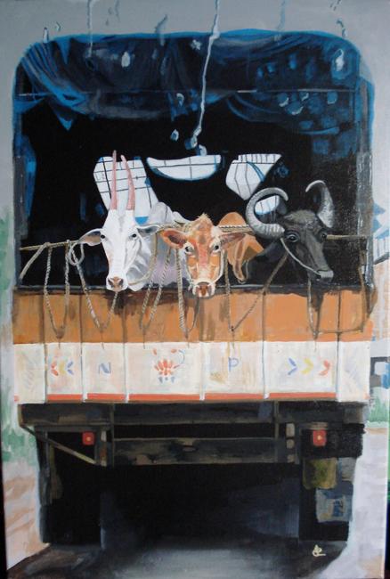 COWS
