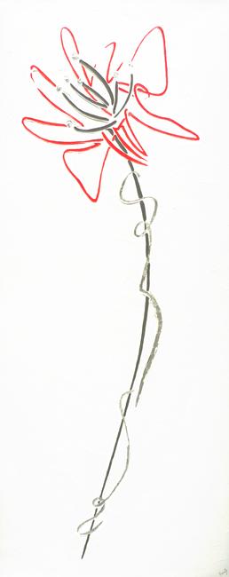 SIGNATURE POPPY