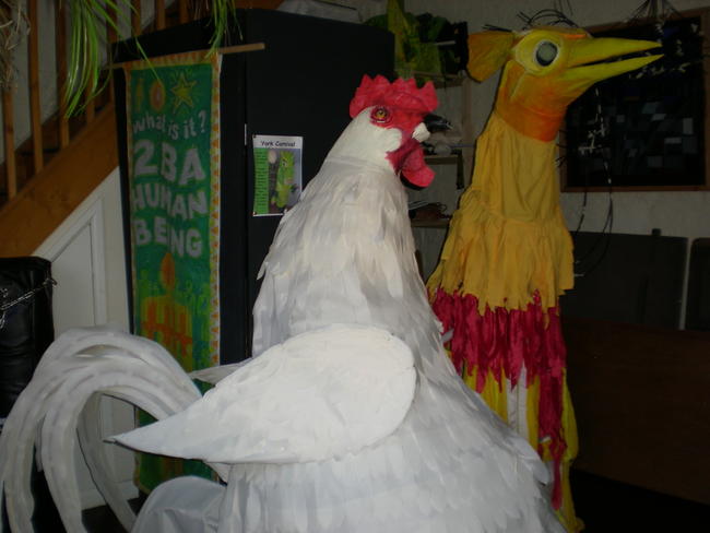 white chicken yellow bird