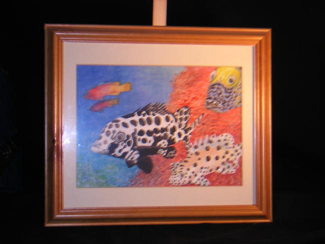 tropical fish