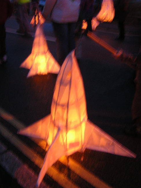 rocket lanterns