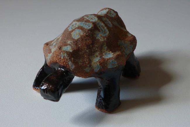 Tortoise trt.01