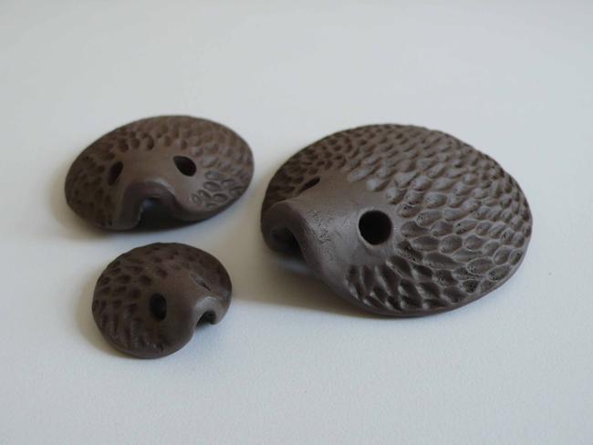Hedgehog Family