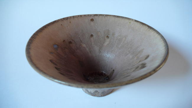 Mushrm 02 internal