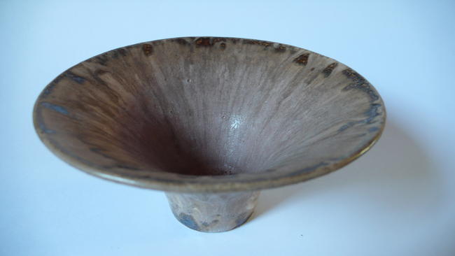 Mushrm 01 internal