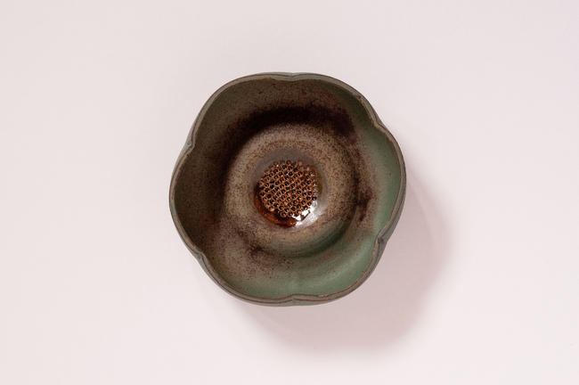 Lotus Pod