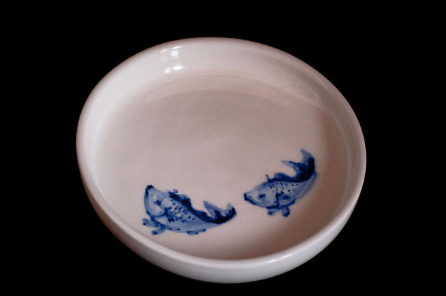 Fish Plate